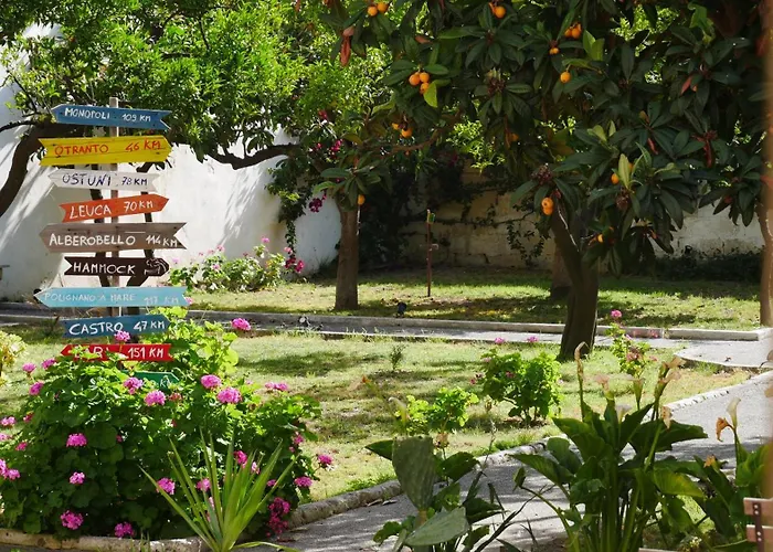 Urban Oasis Hostel